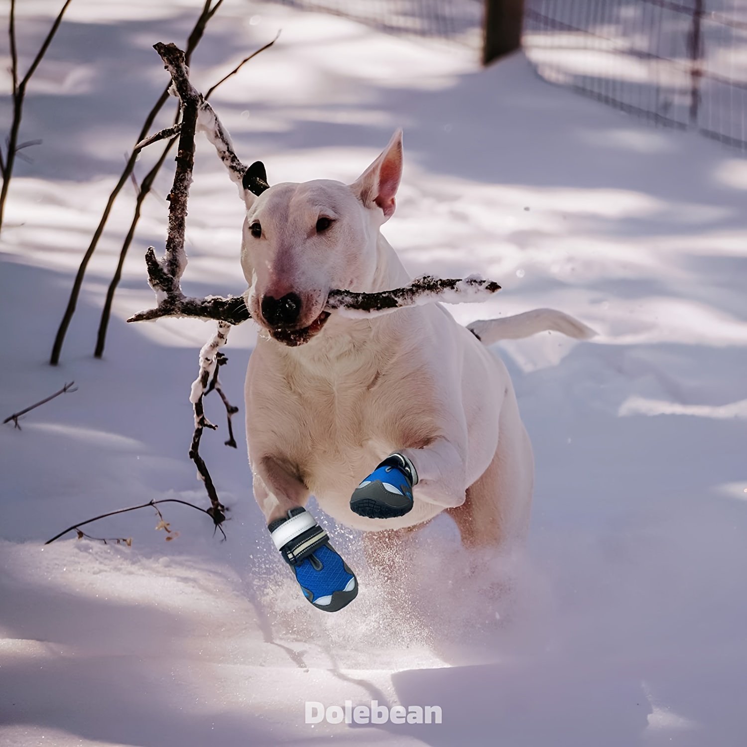 Dog boots for discount summer