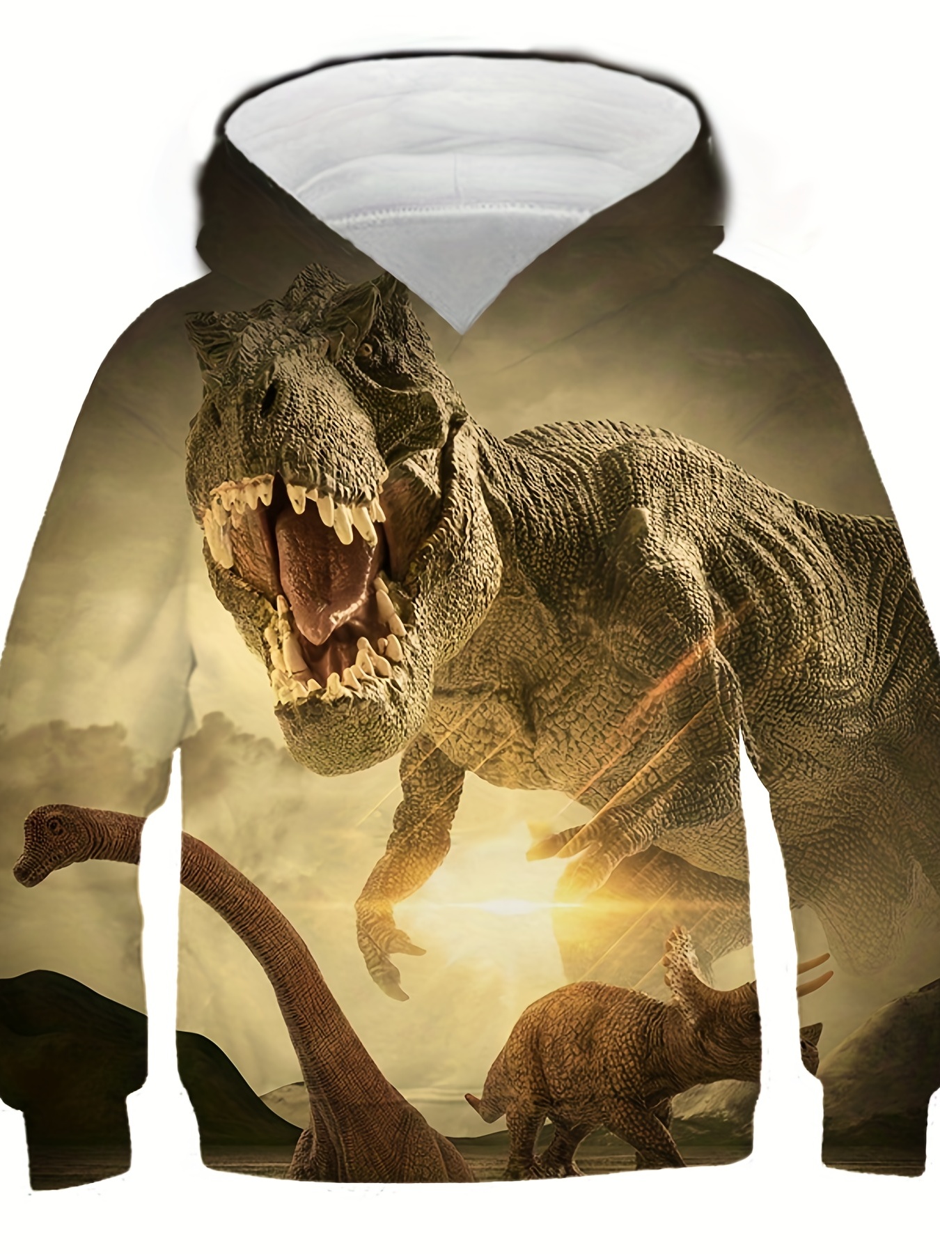 Children's on sale dinosaur hoodie