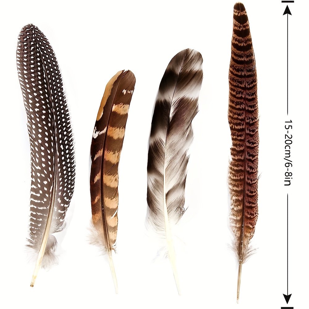 150 pcs Natural Color Pheasant Feathers Assorted Length Arts & Craft D –  Alazco