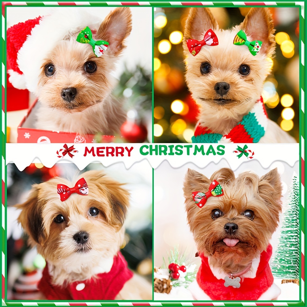 Christmas dog 2024 hair bows