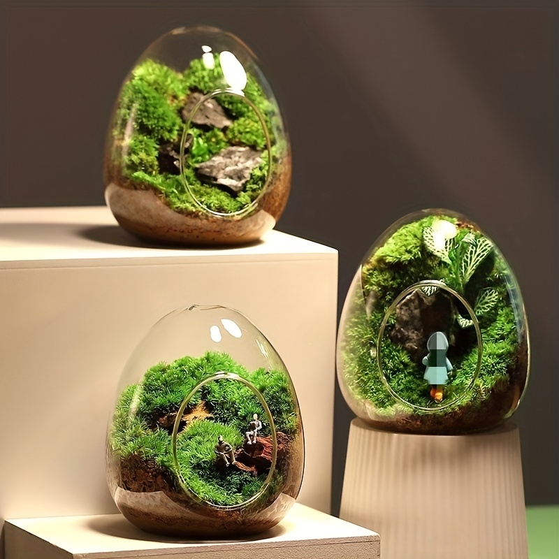 Moss Sphere (Preserved) – Palm Bungalow