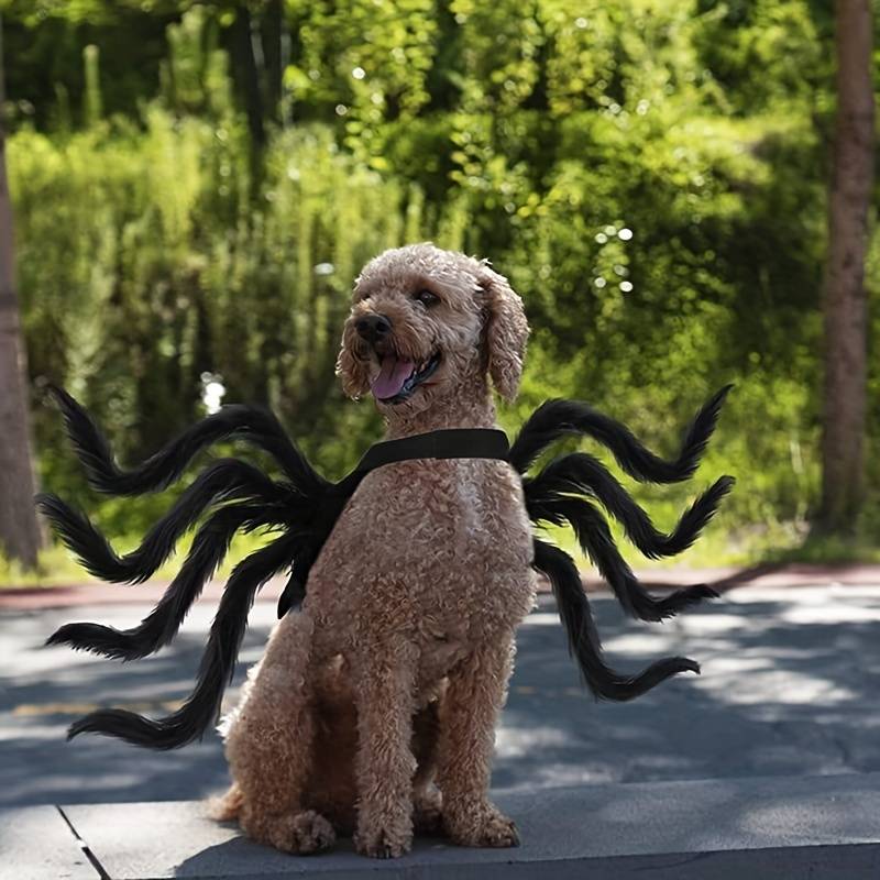 Spider Pup Costume X-small | Cuotas Sin Interés