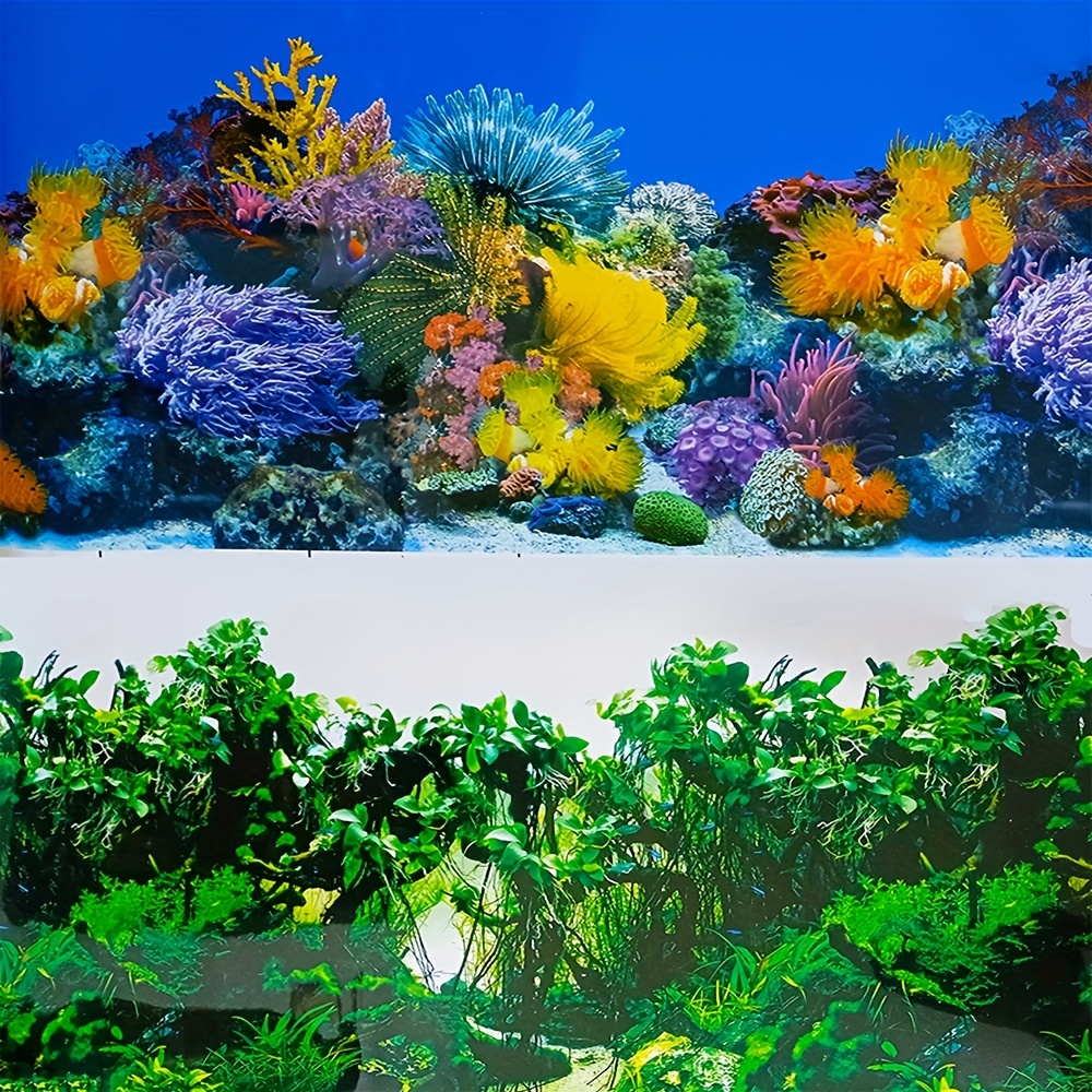 Fish Tank Background Wallpaper Colorful Seaweed Coral Plants