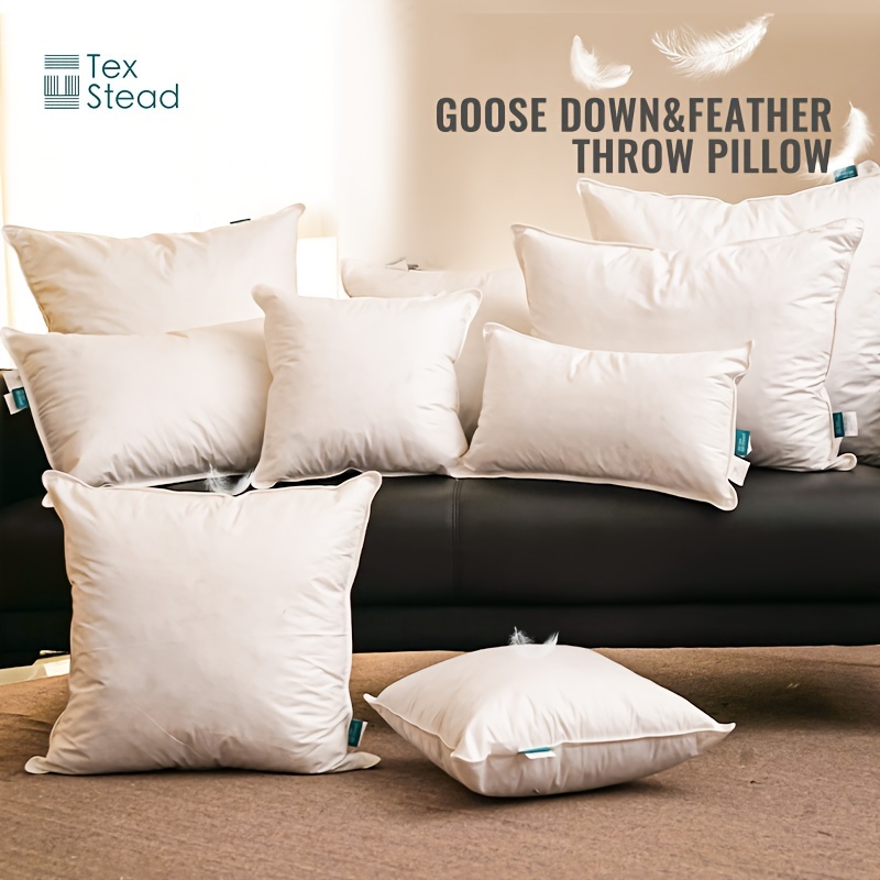  TOPGREEN Goose Feather Throw Pillow Inserts 2 Pack, 16x16  Square Deco Pillow for Bed, Sofa, and Couch