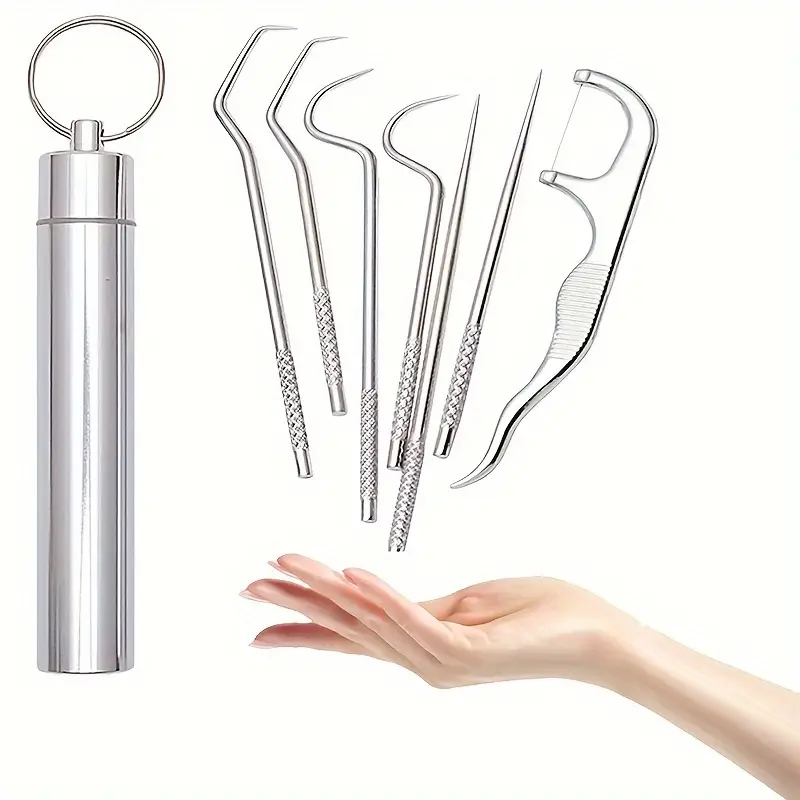 Stainless Steel Toothpicks Set Reusable Toothpicks Portable - Temu