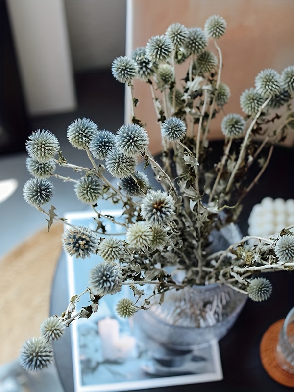 3/6pcs, Natural Real Dry Blue Planet, Dried Flowers, Dried Plants, Home  Decoration Flowers, Wedding Decoration Flowers, Flower Art Design, Room  Decora