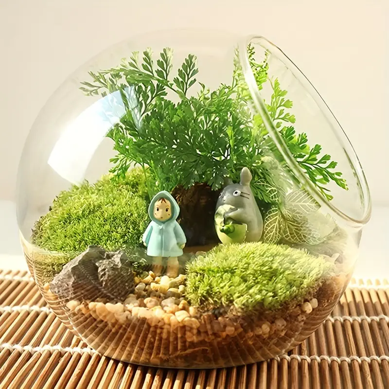 1pc Vaso In Vetro Micro Paesaggio Contenitore Piante Grasse - Temu