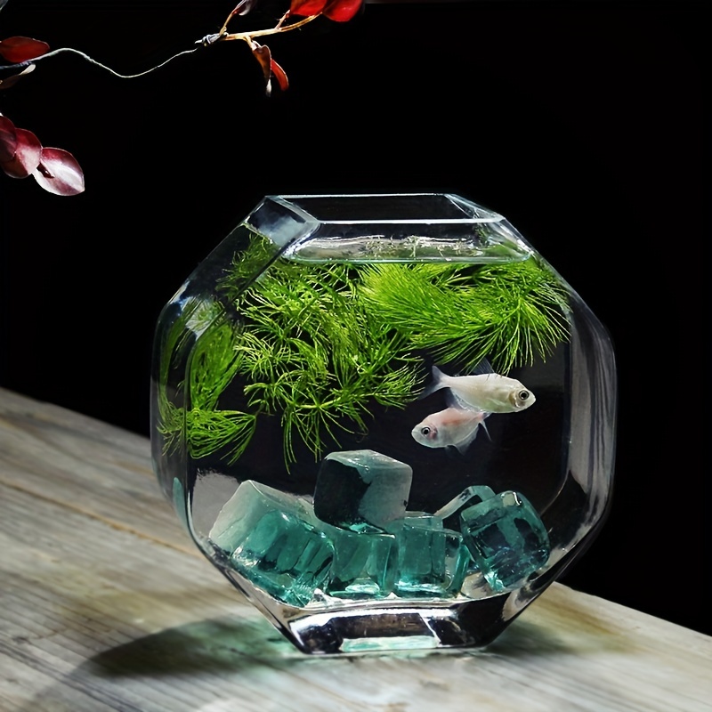 Beautiful Functional Desktop Fish Tank Perfect Home Decor - Temu Canada