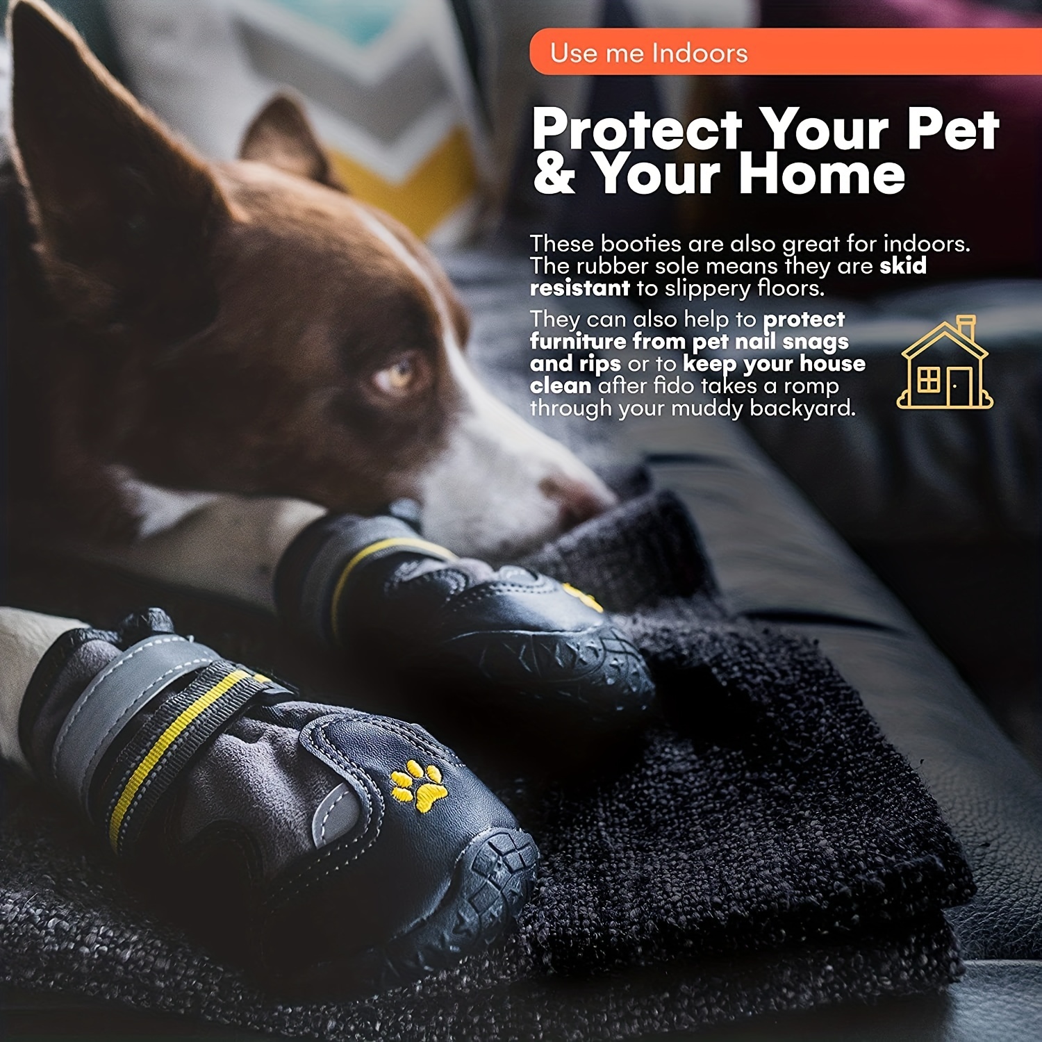 Dog Paw Protection – The Dog Outdoors