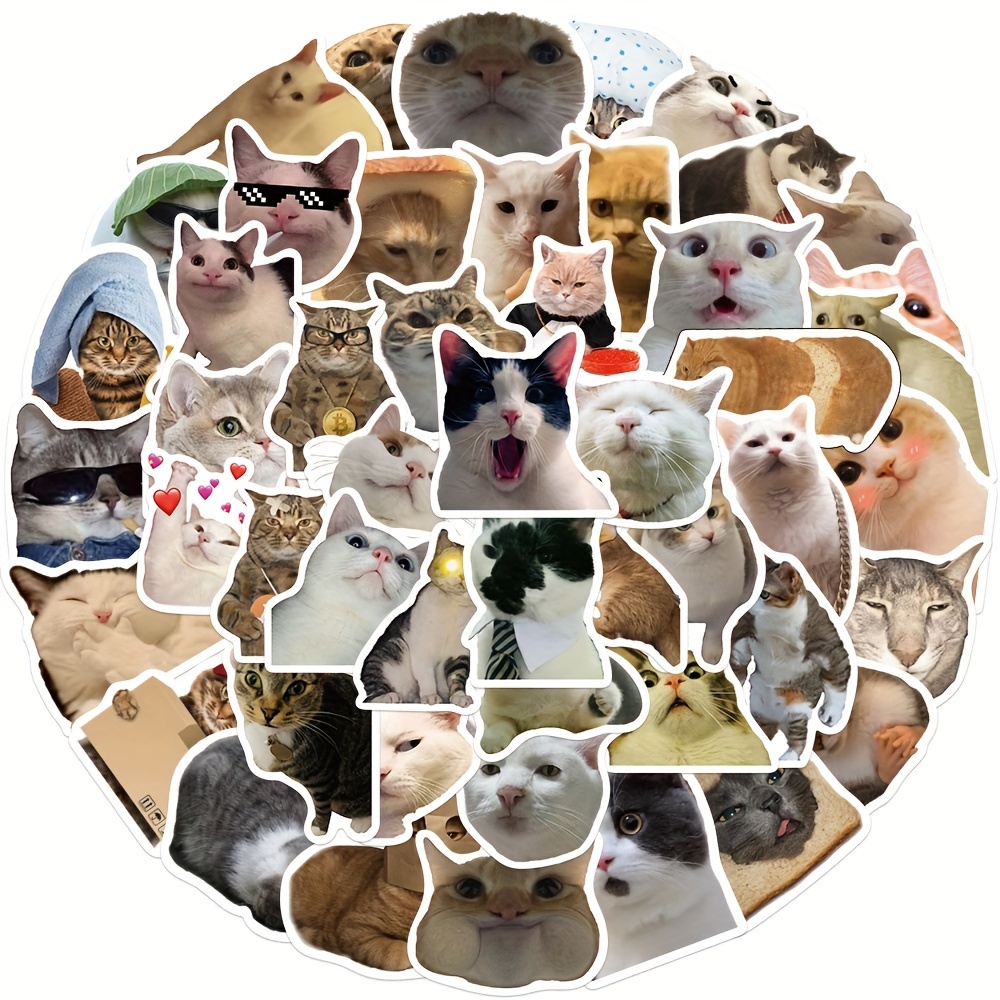 Pegatinas troqueladas de gato kawaii mascota adorable 50 modelos