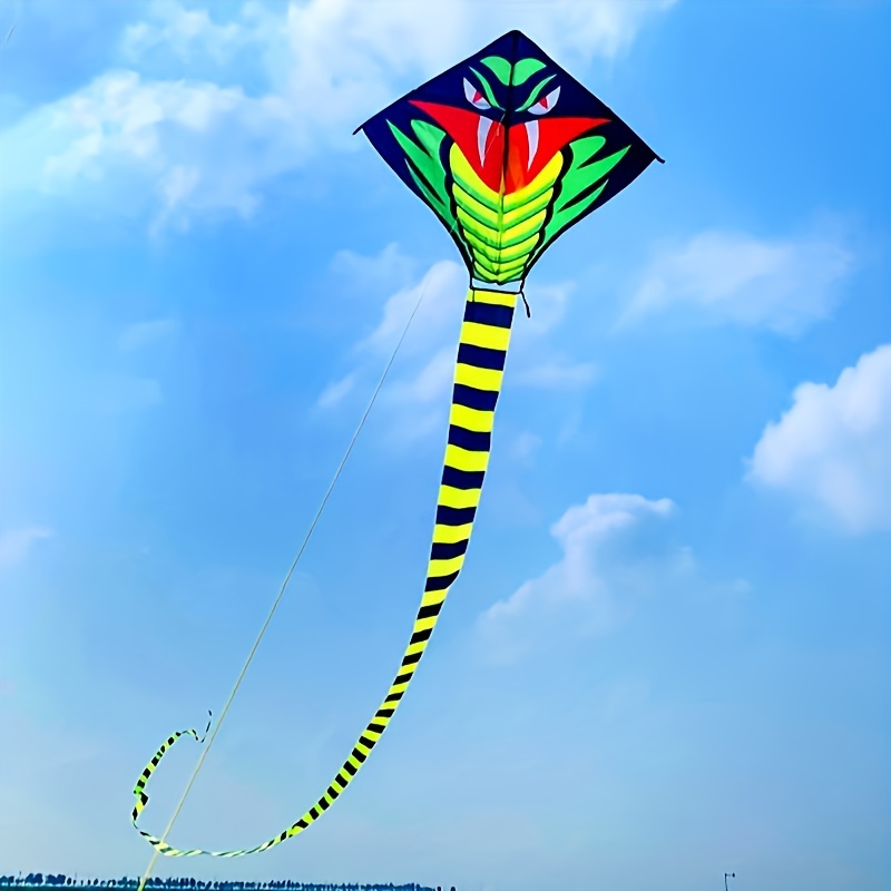 Large Dolphin Blue Kite With Rope, Frameless Soft Parafoil Giant 3d Kite  Breeze Beach Kites For Outdoor Beach Children Kids Adults - Temu United  Kingdom