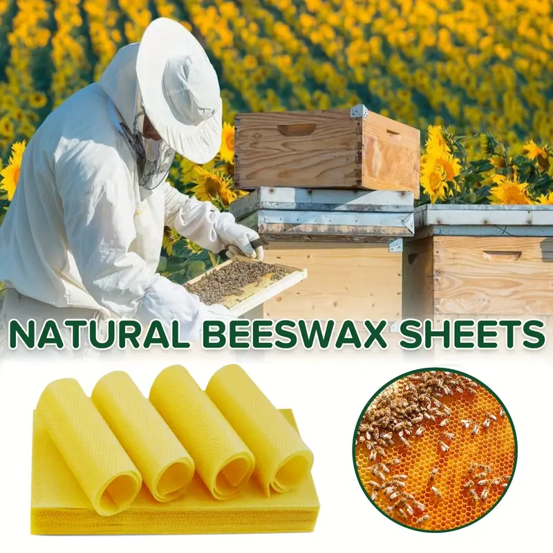 Natural Beeswax Sheets For Beekeeping Supplies With - Temu