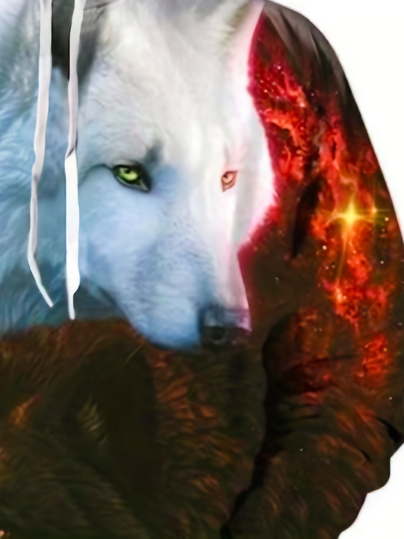 Wolf hoodies for discount men