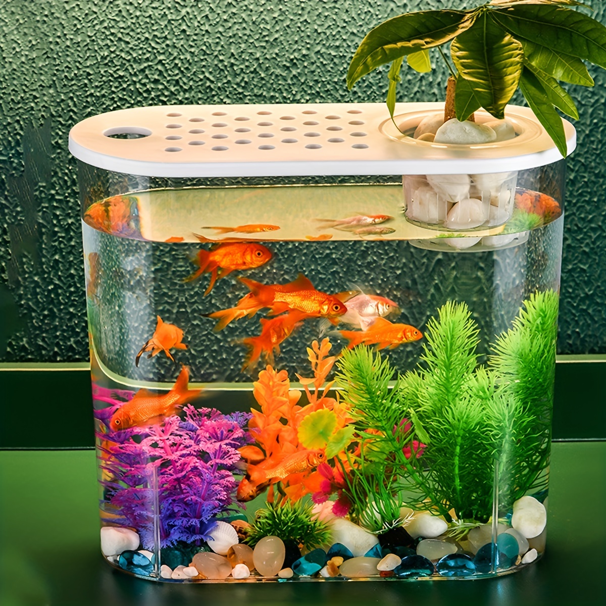 USB Mini Fish Tank Small Aquarium LED Light Office Desktop Home Decor Kids  Gift | eBay