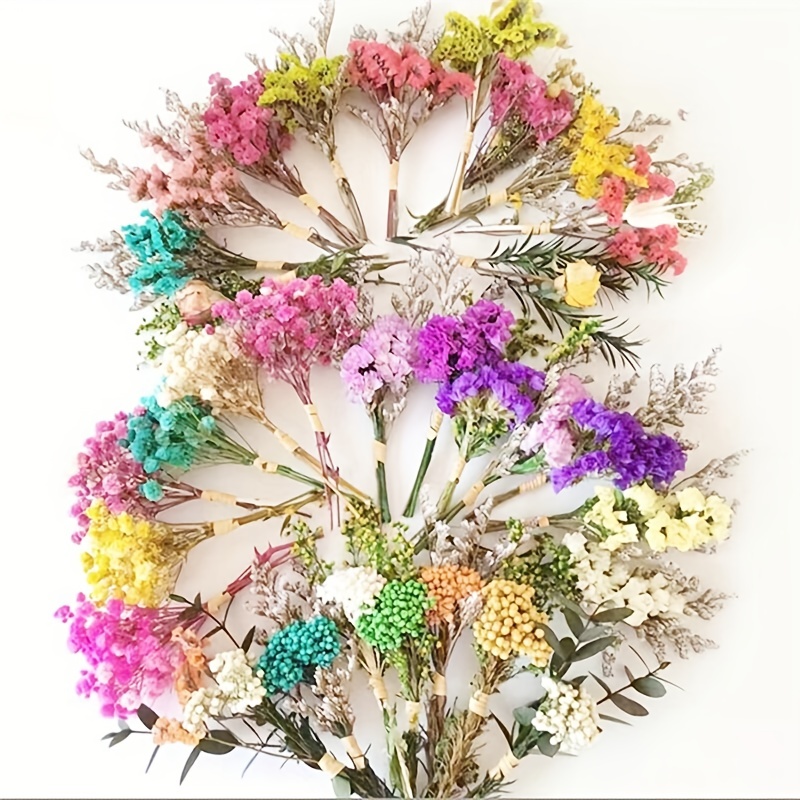1 Small Bunch Mini Dried Flowers Bouquet DIY Wedding Gift Wrap Decoration  Decor