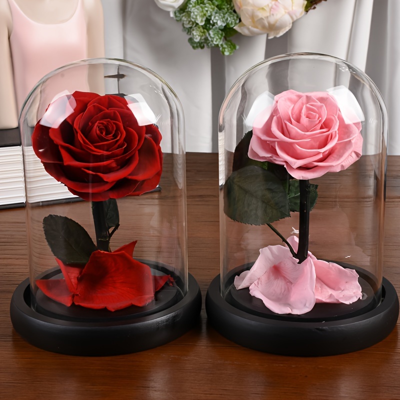 Regalos para el día de San Valentín para ella, regalo para mujer, rosa  arcoíris en cúpula de cristal con luz LED, flor artificial para siempre,  regalos únicos para novia, regalos para el