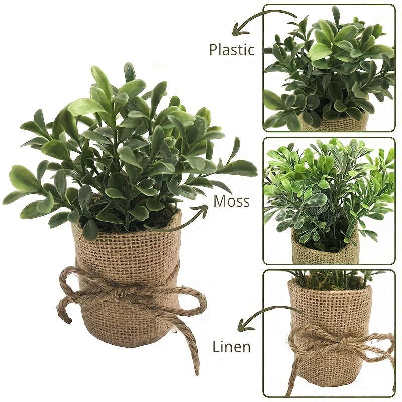  Everlasting Moss, Artificial Landscaping Ecological Moss,  Desktop Creative Potted Green Moss, For Home Decor Indoor, Greenery  Tabletop Centerpieces, For Office Room Decoration,White-20cm : Home &  Kitchen