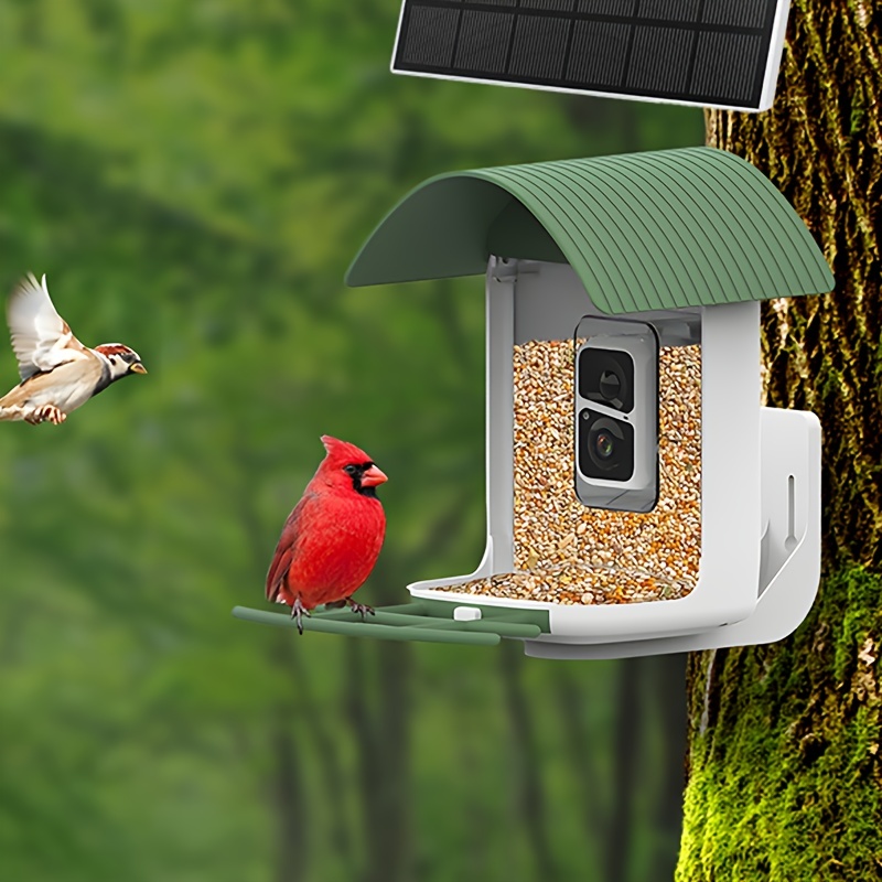 Caméra intelligente mangeoire à oiseaux surveillance en temps réel