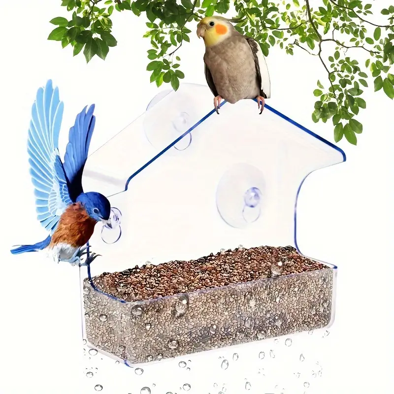 Mangeoire à Oiseaux Transparente,Mangeoire à fenêtre pour Oiseaux