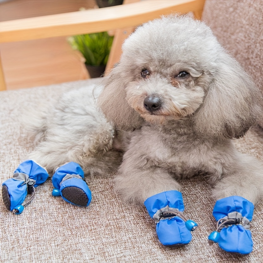 4pcs Set Small Dog Paw Protector Thickened Warm Dog Boots With Elastic  Buckle, Shop On Temu And start Saving