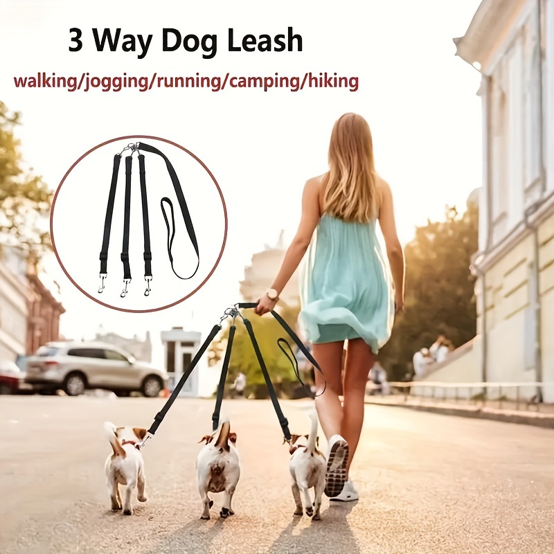 Lead the outlet way dog walking