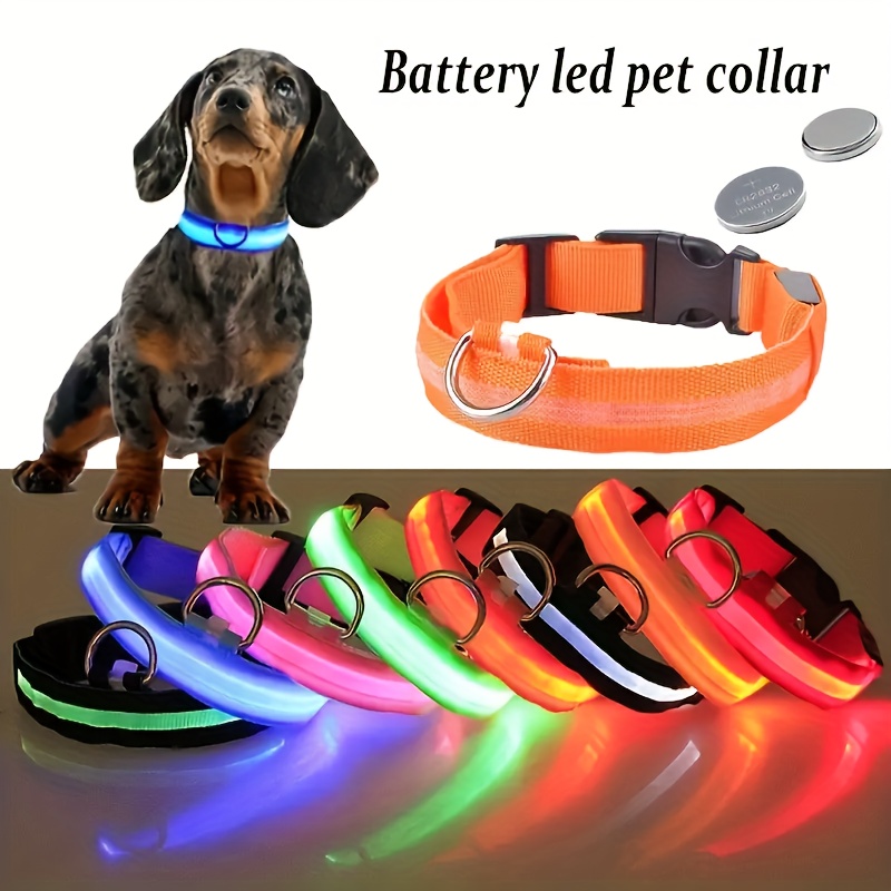 PZRLit Collares de perro con luz LED, recargable con micro USB,  impermeable, totalmente ajustable, brillante, oscuro, luz para caminar por  la noche