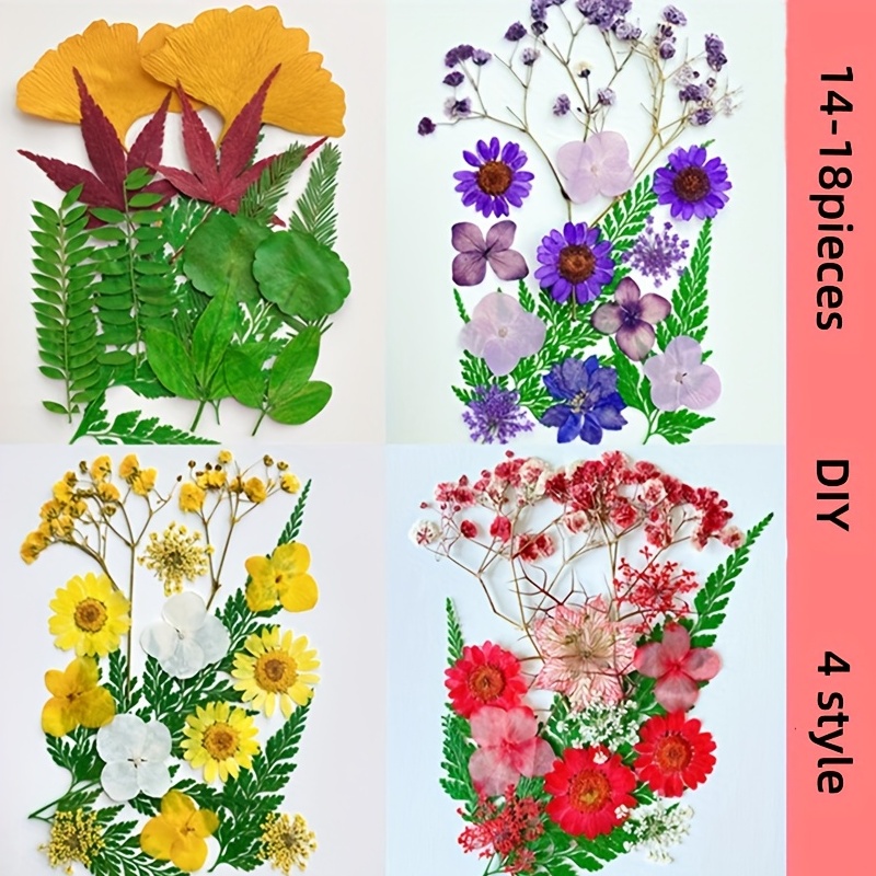 18PCS DIY Dried Flowers Lightweight Dried Sunflowers Pressed Flowers for  Craft 