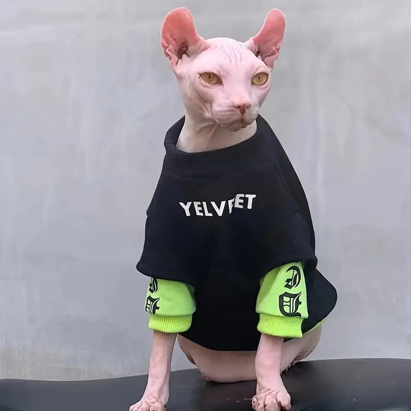 Awesome Cat Coat Velvet Sweater for Sphynx Cat Hairless Cat 