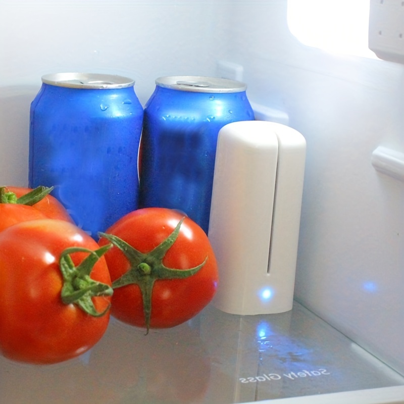 Désodorisant et désodorisant rechargeables pour réfrigérateur