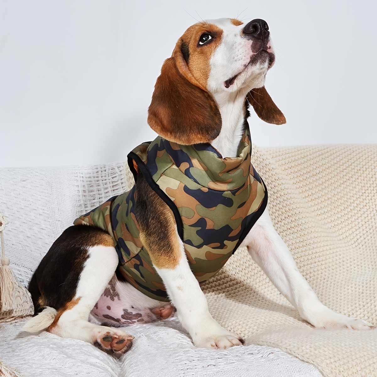 chaqueta camuflaje mascotas abrigo perros anillo Temu