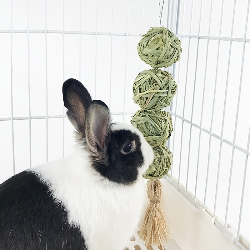 Juguetes Masticar Conejos Moler Dientes Mascotas Animales - Temu