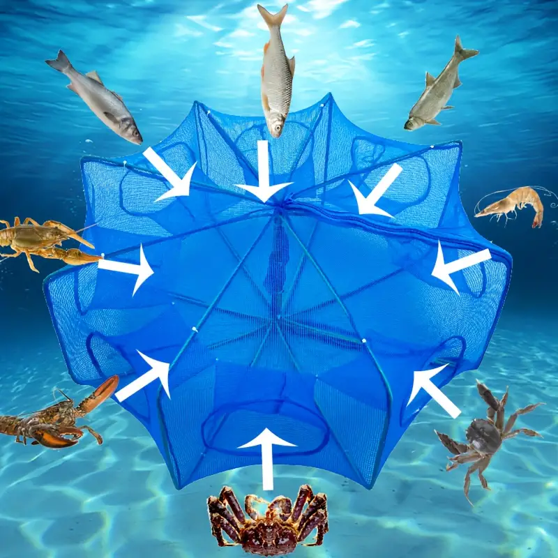 Fishing Bait Traps Crab Traps Shrimp Traps Foldable Cage 6 - Temu Malta