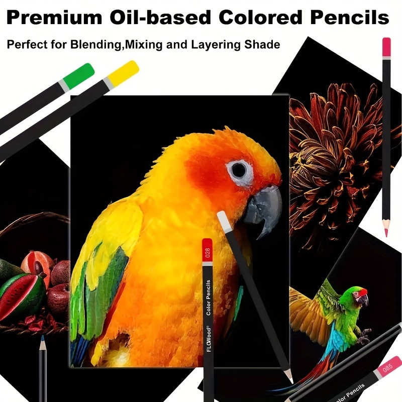 120 Colors Pencils Zipper-case Set,oil Color Pencil Set,drawing Colored,quality  Soft Core Colored Leads For Adult Artists, Professionals And  Colorists,strong Carry-anywhere Zipper Case - Temu