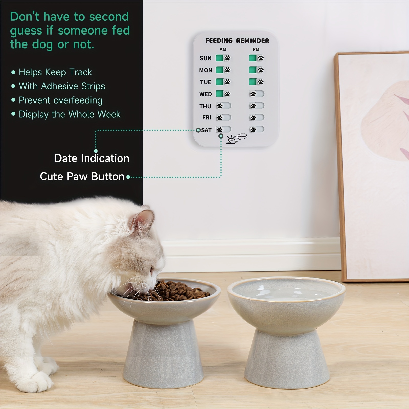 Cat discount feeding reminder