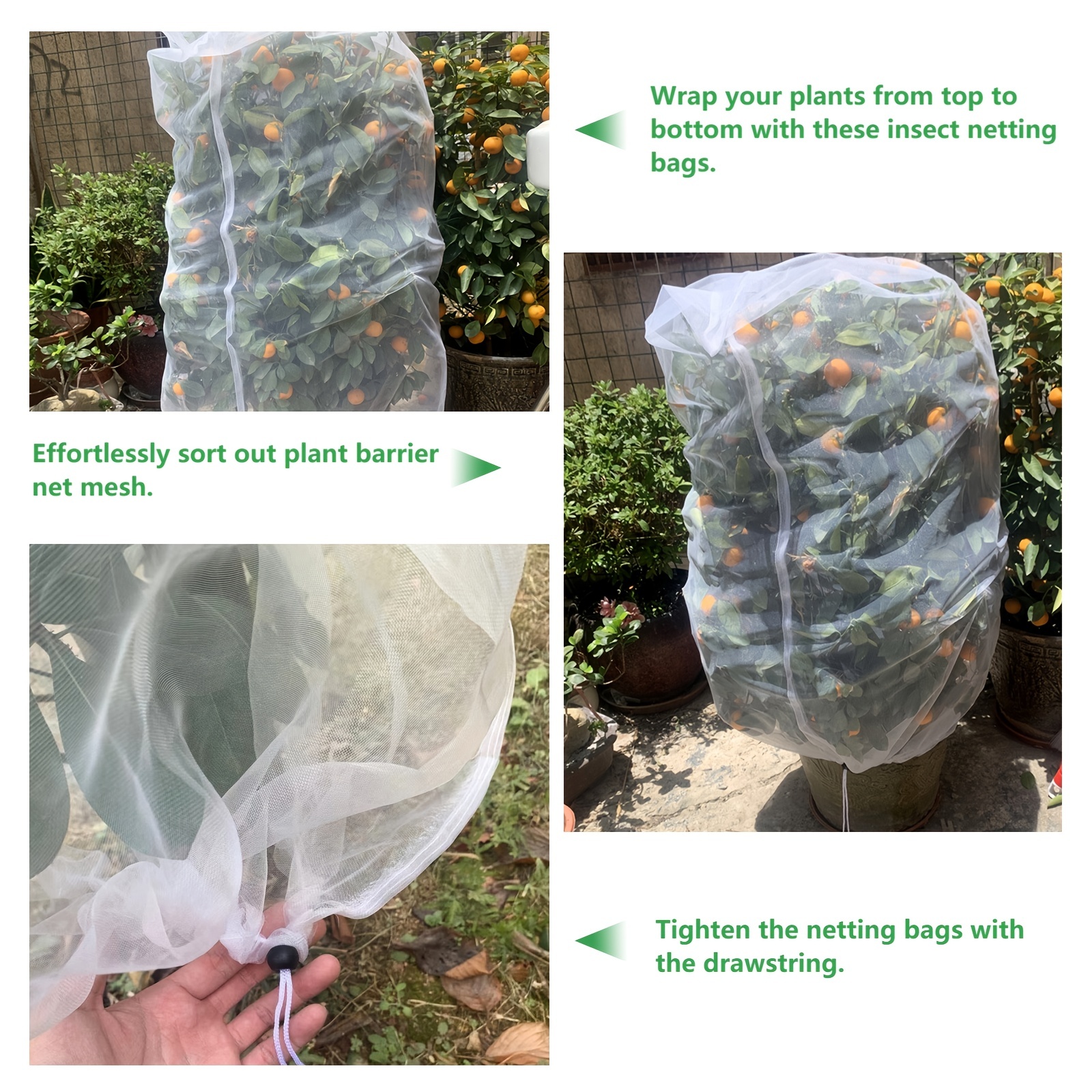 Premium Garden Insect Bird Netting Bags Protect Your Fruit - Temu Japan