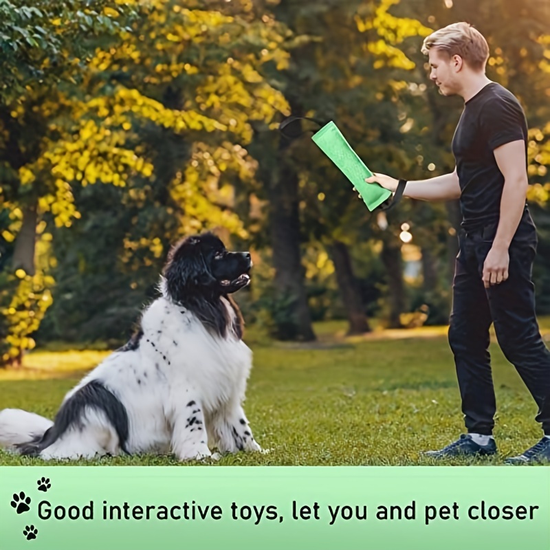 Dog Teeth Cleaning Toy Dog Tug Stick Plaything, Puppy Interactive Dogs  Chewing Chew For Molar Toys Outdoor Training Pet Toy - Temu