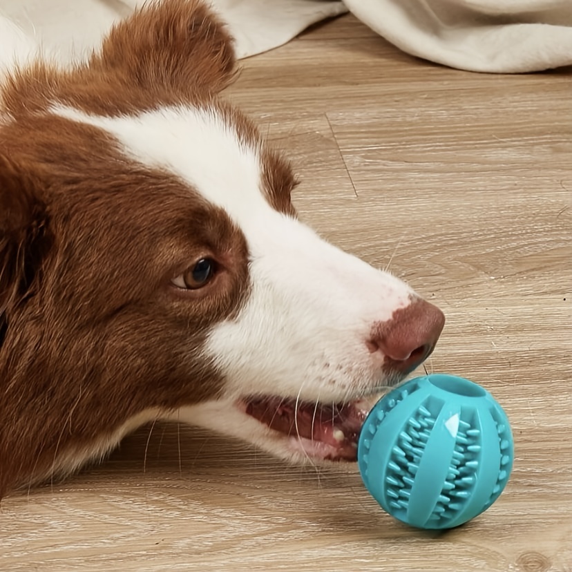 Pelota De Goma Para Perros - Temu