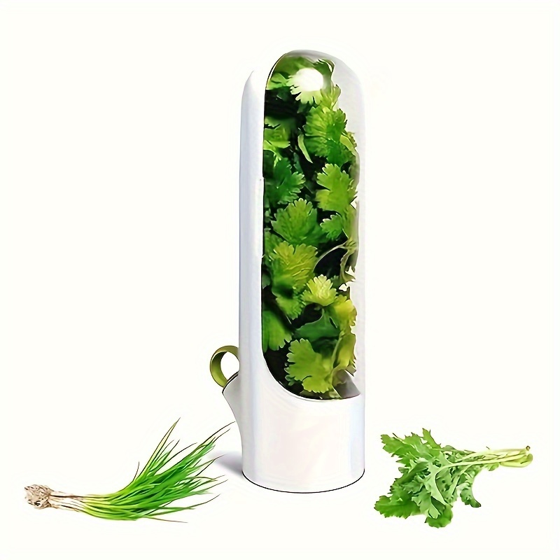 1pc Herb Keeper Vegetable Storage Container