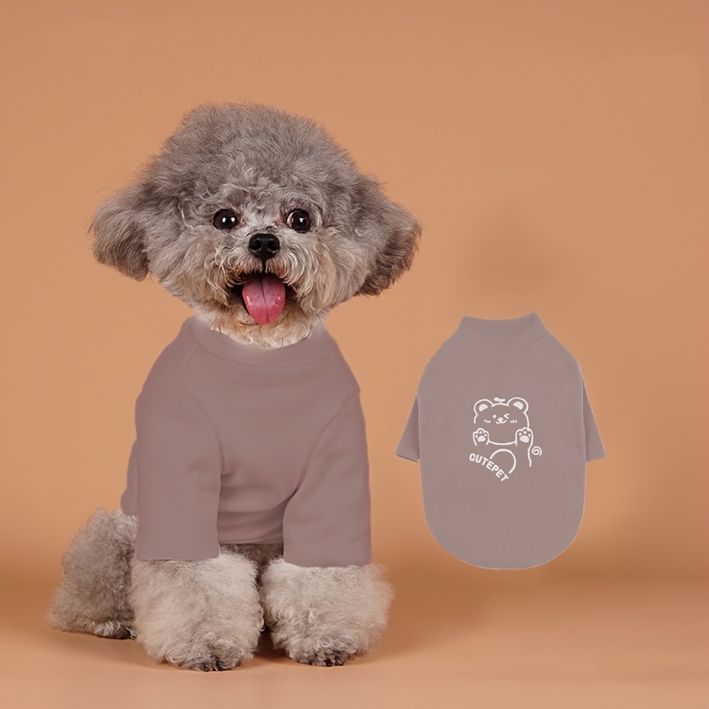 Dog Clothes & Accessories