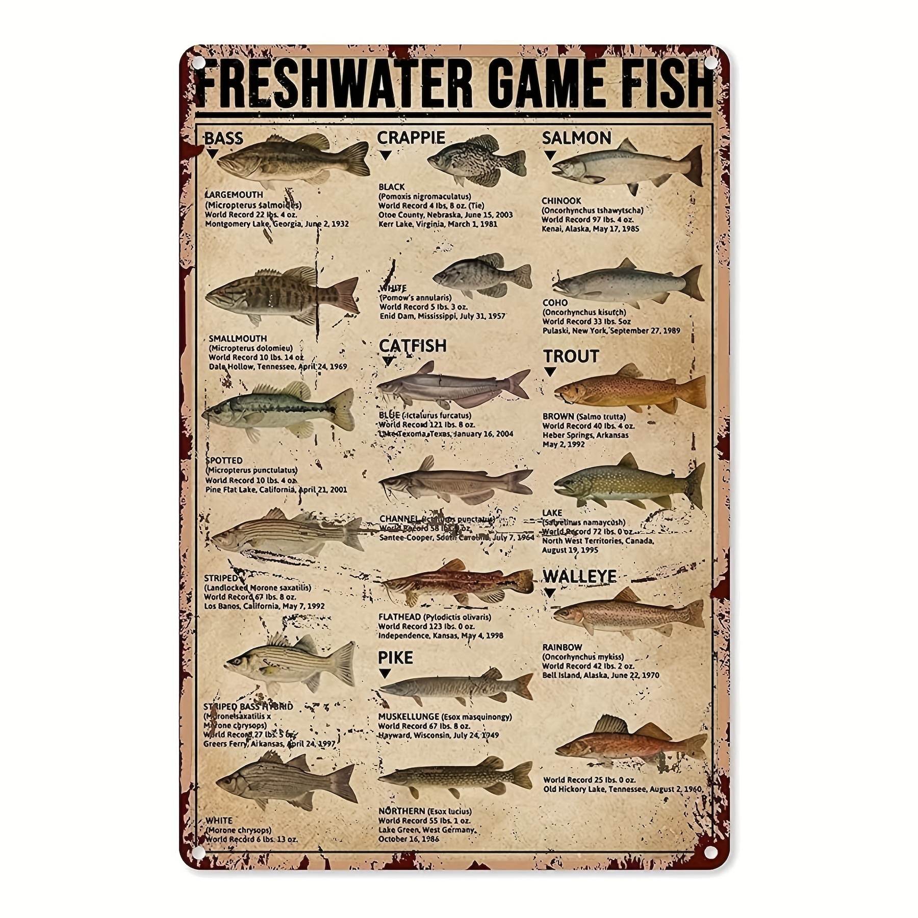 Fish Knowledge Metal Tin Sign Freshwater Game Fish Retro - Temu
