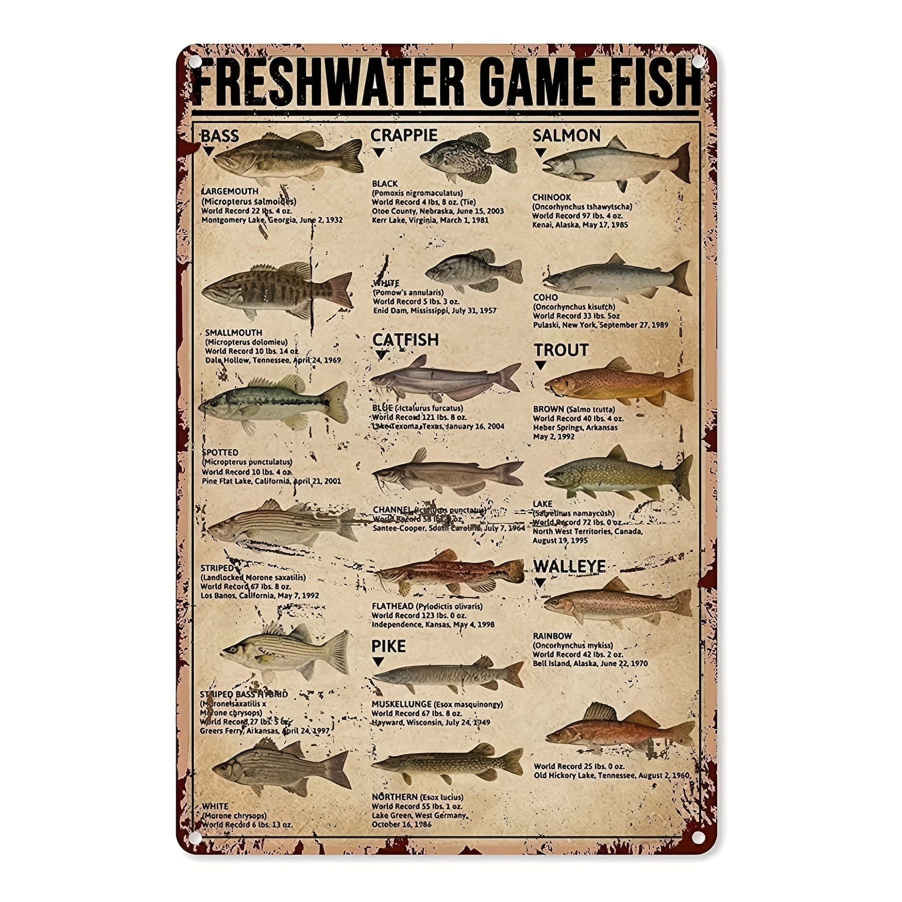 Fish Poster, Warmwater Gamefish Identification Chart