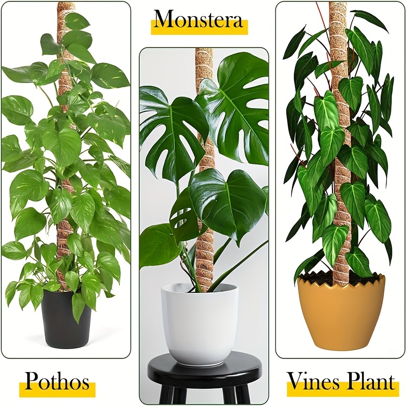 Plant Moss Coir Pole Bendable Plants Monstera Climbing - Temu