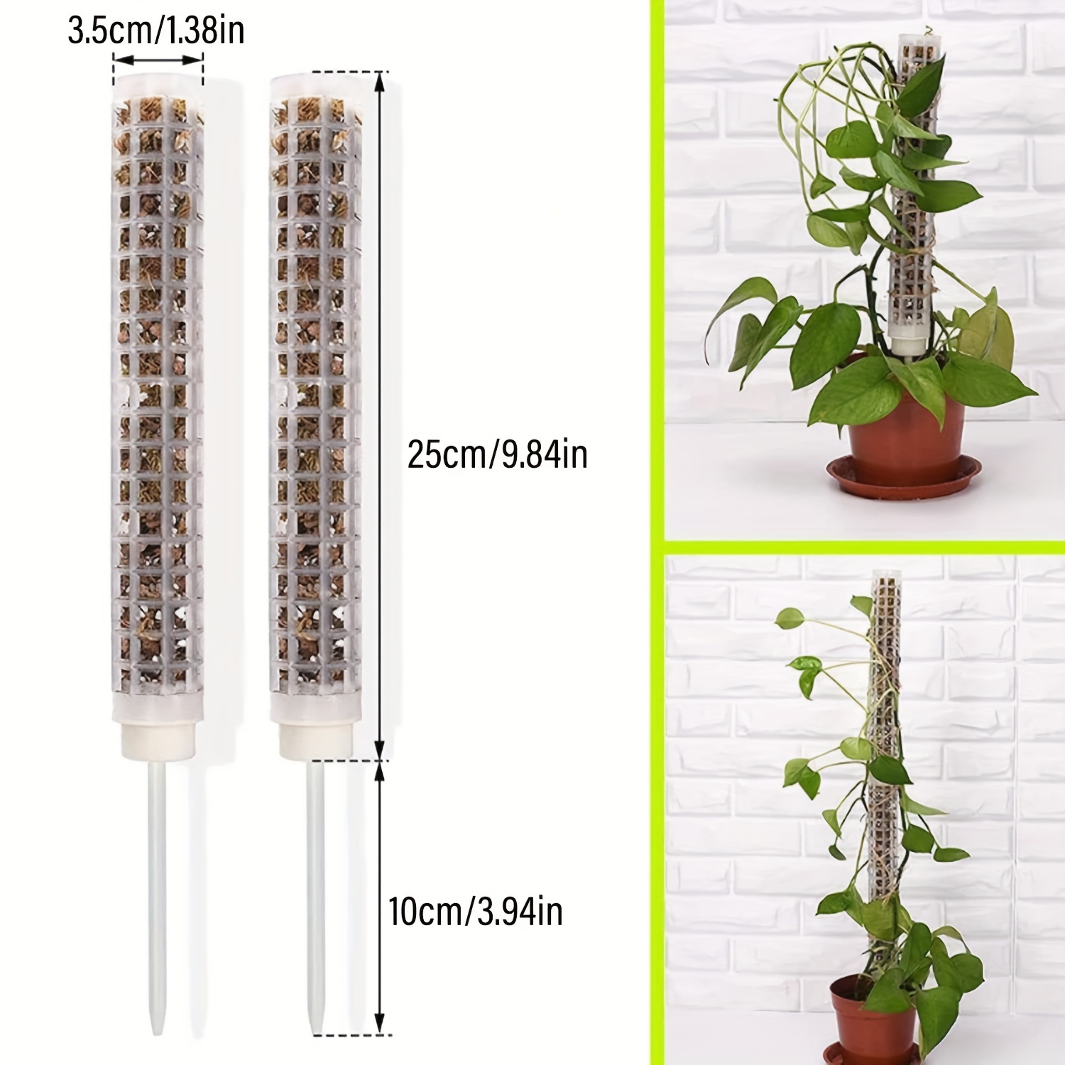 Moss Rod Monster Plant Support training Indoor Climbers To - Temu