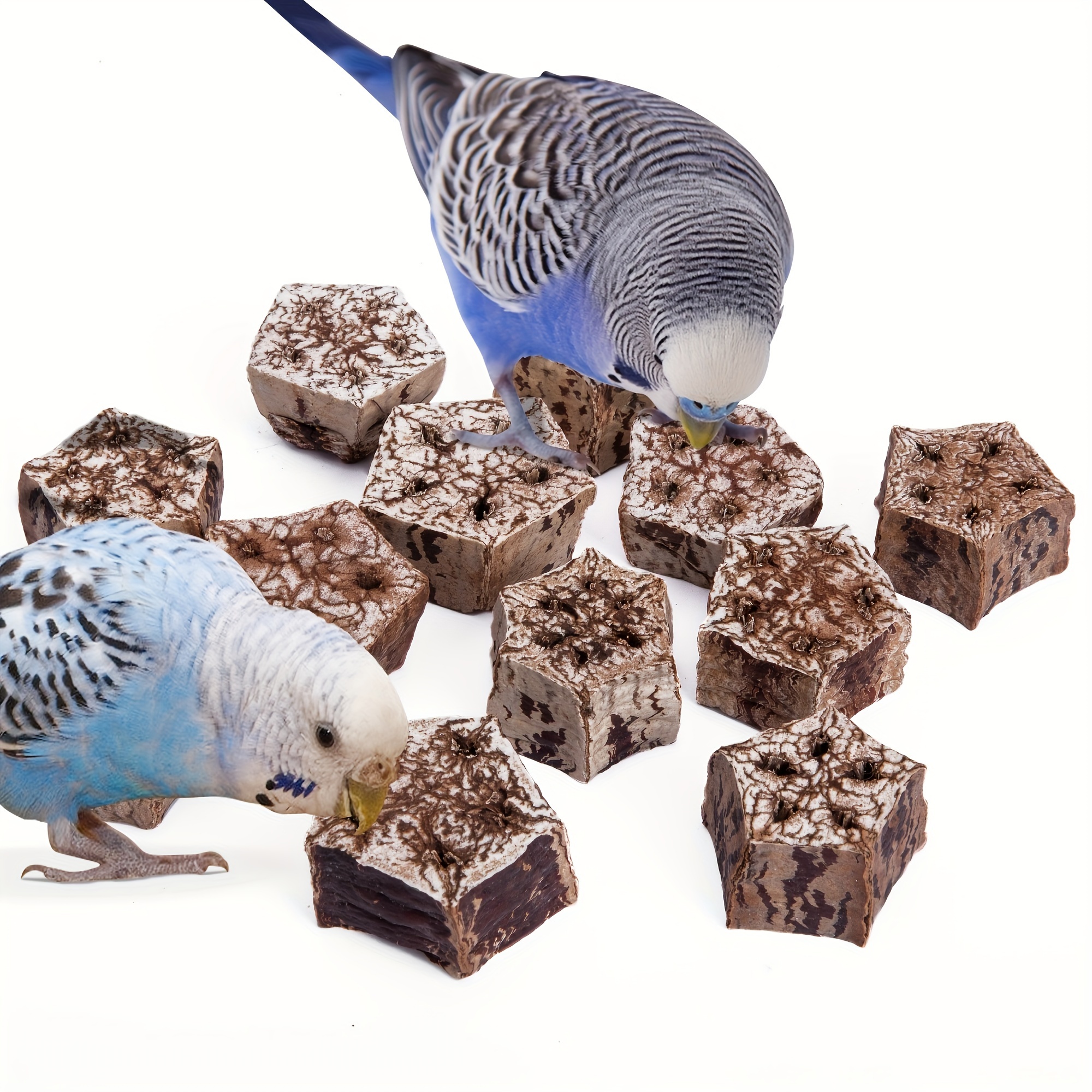Pet Parrot Toys Natural Bird Beak Grinding Toy Dried Fruit - Temu