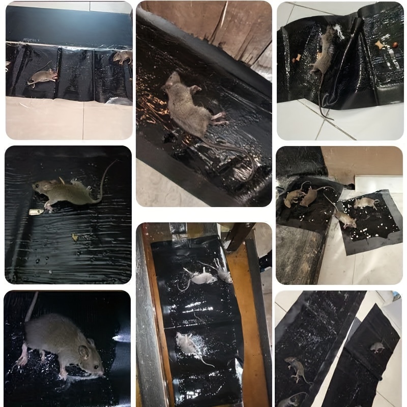 Anti Rodent Magic Carpet Rat Mice Catcher Killer Mouse Glue Trap