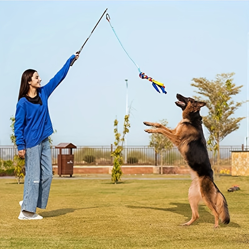 Flirt Pole for Dogs, Dog Chew Toys, Durable Dog Rope Toys, Puppy Toys for  Teething Small Dogs, Flirt Stick Interactive Dog Toys for Exercise Chase  Tug