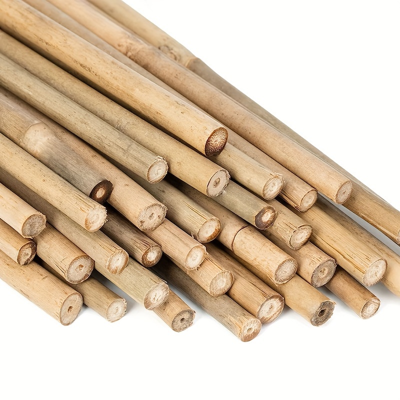 Bamboo Skewers Flat Head Natural Bamboo Wood Craft Sticks - Temu