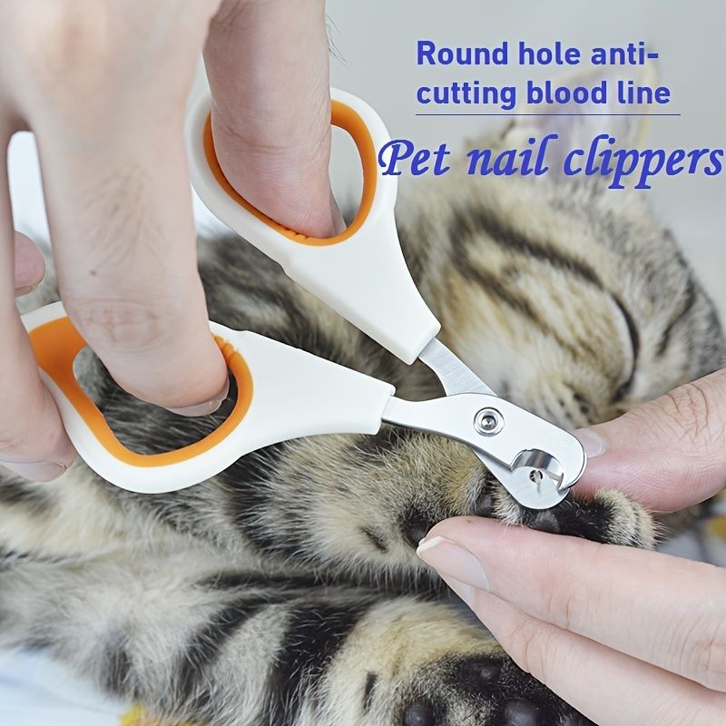 Dog Nail Clippers For Dogs Cat Nail Scissors Pet Nail Scissors | Shop Now  For Limited-time Deals | Temu