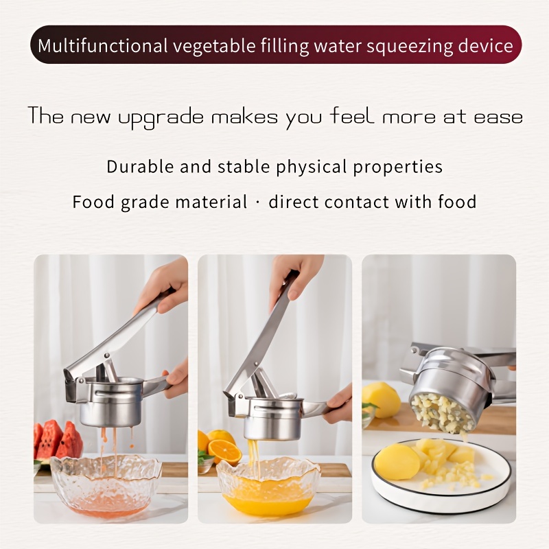 Stainless Steel Chip Maker for Fruit Juicing & Garlic Smashing
