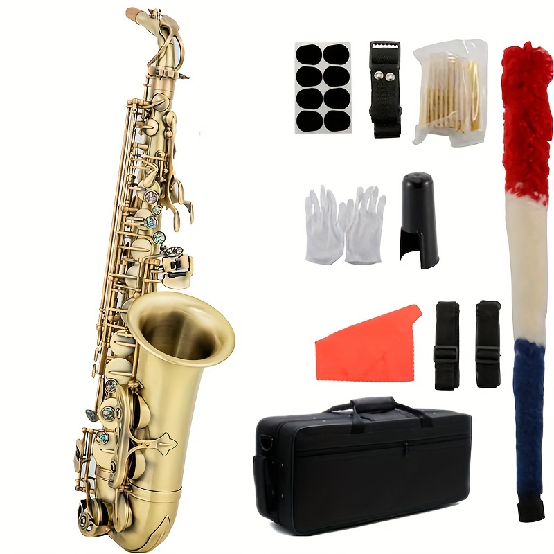 Pocket Saxophone Kit Mini Sax Portable Woodwind Instrument with Lid,  Mouthpiece, Carrying Bag, Fingering Charts